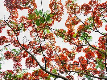 《原始袭变》第二赛季上线 中山总监短片公开